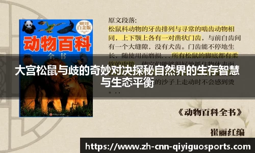 大宫松鼠与歧的奇妙对决探秘自然界的生存智慧与生态平衡